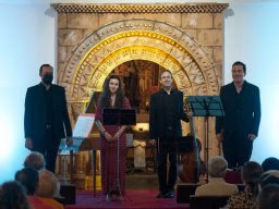 IV Festival Santa Brígida