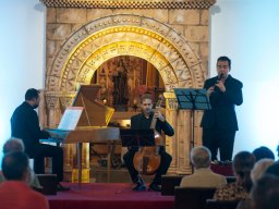 IV Festival Santa Brígida