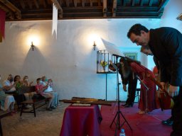 IV Festival Santa Brígida