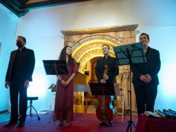 IV Festival Santa Brígida